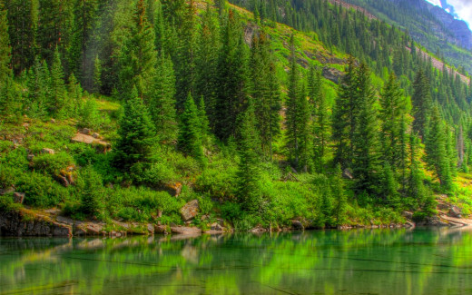 481904 (a): :2560x1600